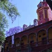  San Miguel de Allende, Mexico 2009